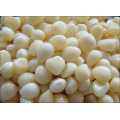 2017 new crop vacuum packed peeled white garic cloves